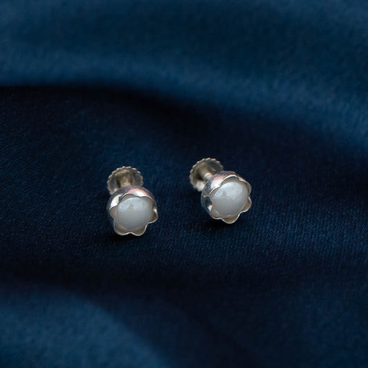 ZM101600  - 925 Silver Earrings