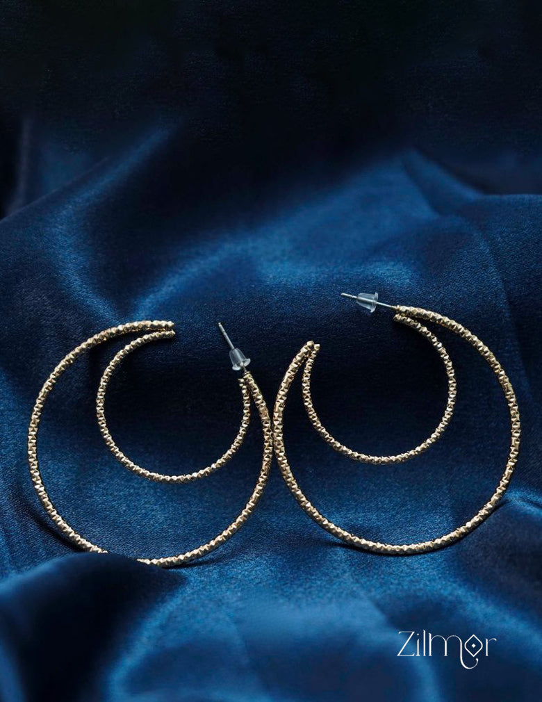 Half Moon Earrings - PT100373