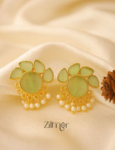 NA100978- Crystal Stone Earrings (color option) 1-Zilmor