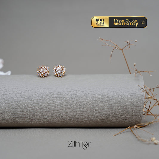 PE1011121 - Gold tone AD Stone stud Earrings